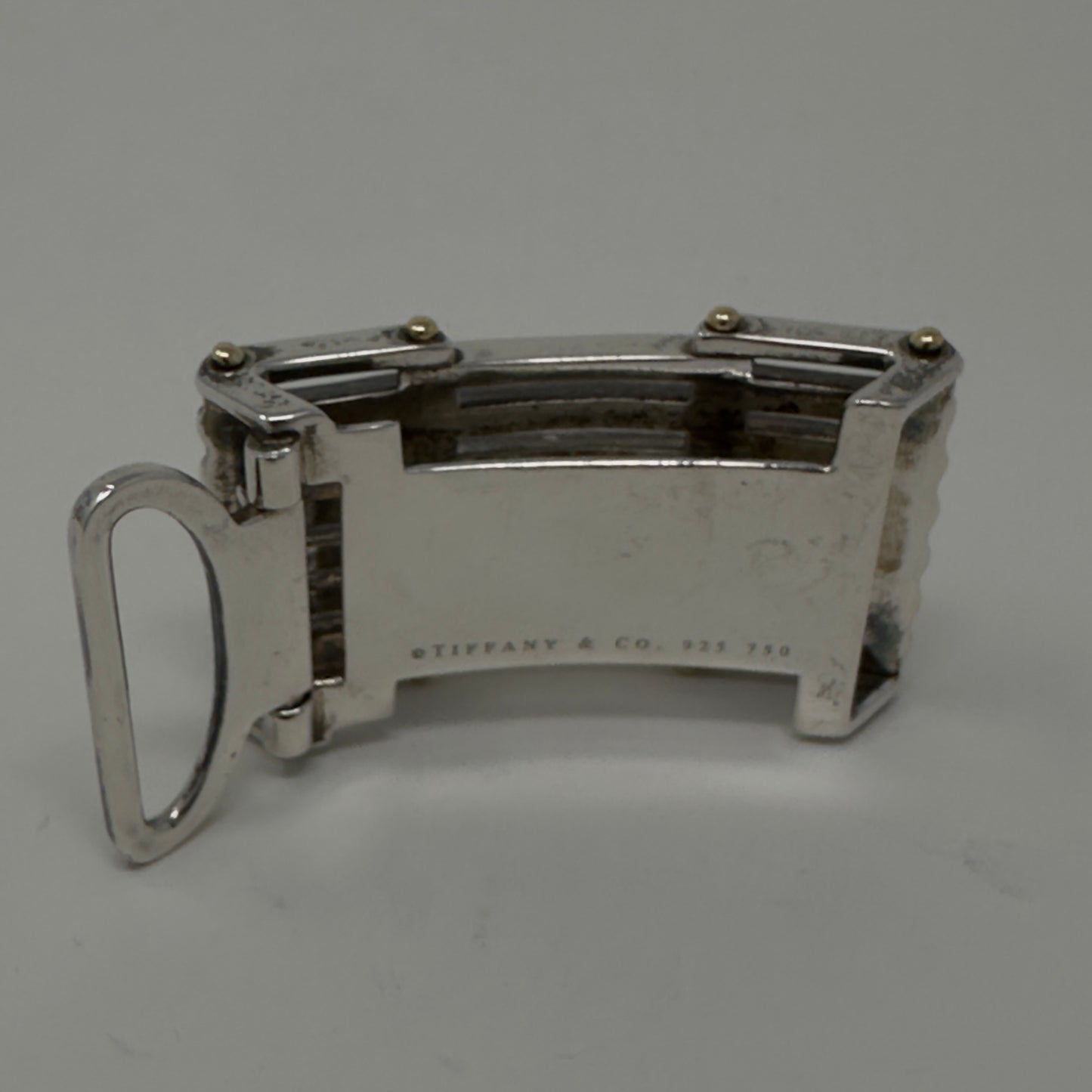 Tiffany & Co. Sterling Silver and 18k Gold Gatelink Belt Buckle