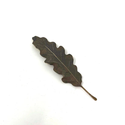 Iversen Patinated Bronze Oak Leaf Brooch