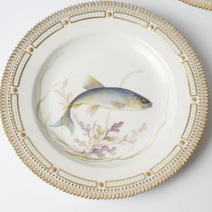 Royal Copenhagen Fish Plate "Clupea Harengus" by Royal Copenhagen