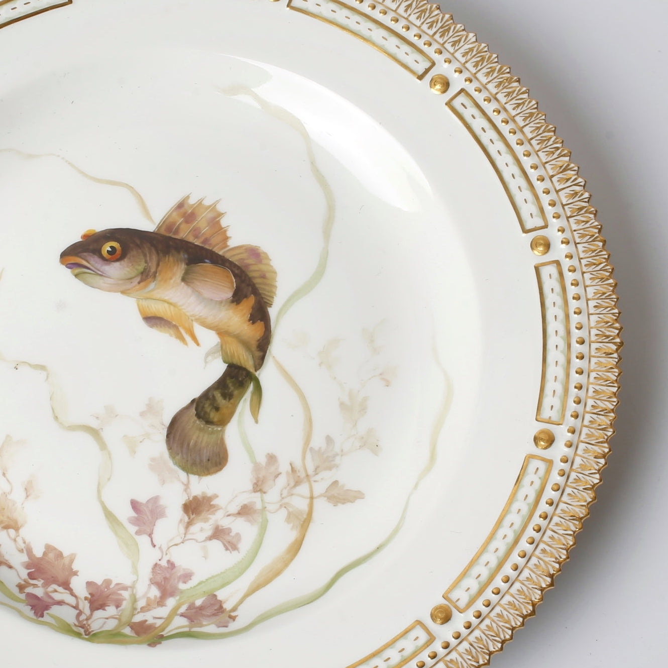 Royal Copenhagen Fish Plate "Gobius Niger" by Royal Copenhagen