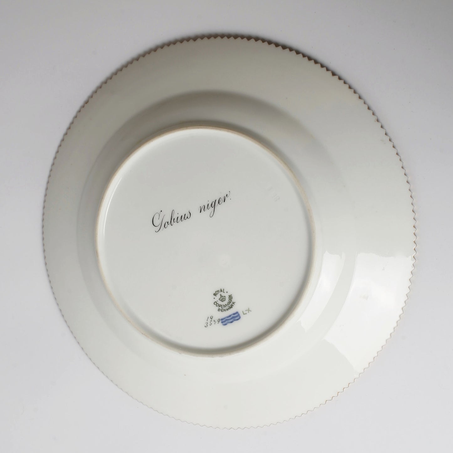 Royal Copenhagen Fish Plates Complete set for 12 persons