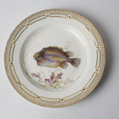 Royal Copenhagen Fish Plates Complete set for 12 persons